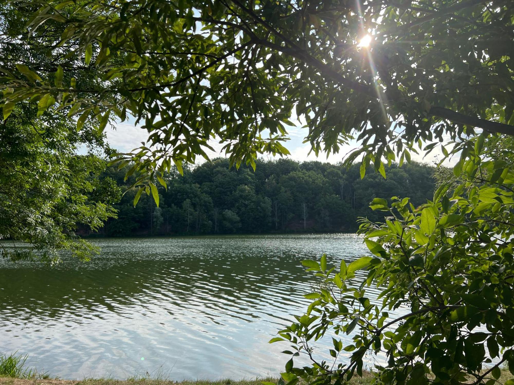 Ferienwohnungen Brenner Einchecken Und Wohlfuehlen Langenbernsdorf Exterior foto